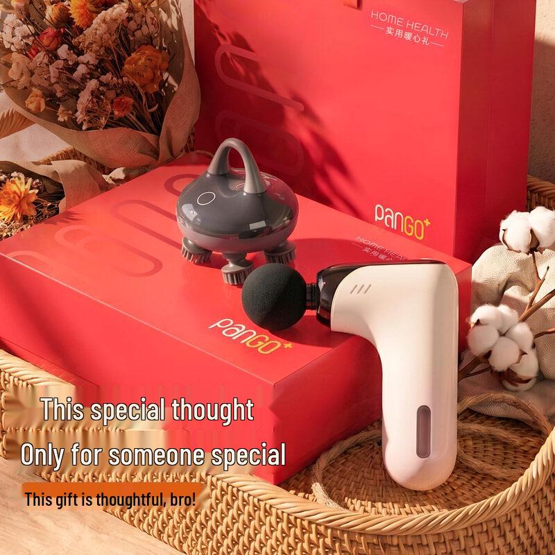 Pangao Infrared Heating Waist Massager Gift Set CN plug (adapter included)
