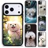 Cartoon Maltese Dog Phone Case For iPhone 17 16 15 14 13 12 11 Pro Max Plus 17Air Soft Silicone Cover