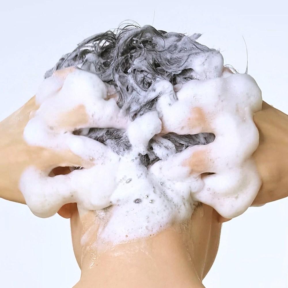 DR. Seed Black Bean, veganes Anti-Haarausfall-Shampoo gegen Haarausfall, fruchtig-blumiger Moschusduft, 1 l, 2 Stück.
