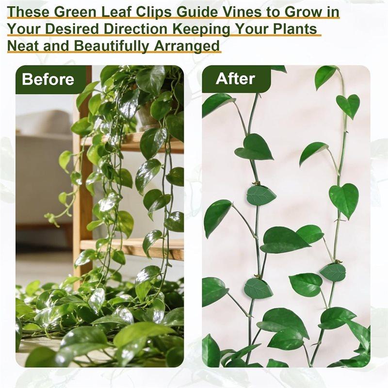 SHGO-Garden Plants Climbing Wall Support 60 PCS Plant Clips, Snap Fixtures Self-Adhesive Hooks Stickies Garden Clipping Fixer