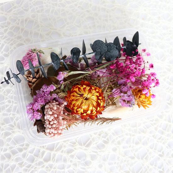 Dried Flowers Home Photography Props DIY Ornament Craft Specimen Accessories