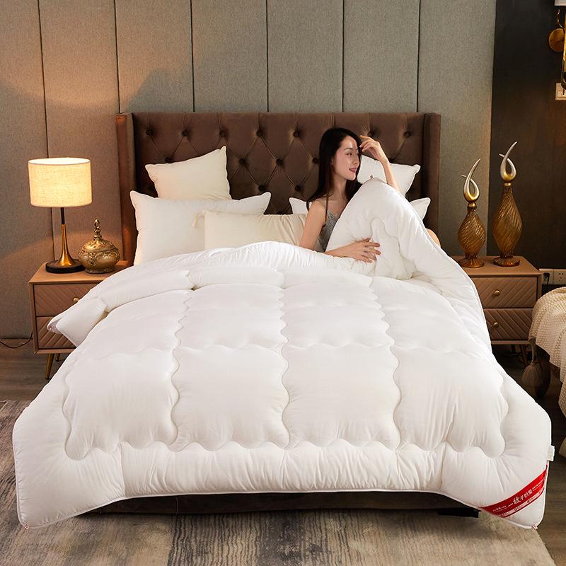 Brushed Comforter: Thickened Silk Cotton Quilt for All Seasons
