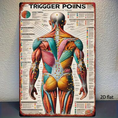 Akupunktur-Chart 20x30 cm - Menschliches Anatomie-Poster mit Triggerpunkten Meridianen, Langlebige Metall-Wandkunst für Akupunkteure Ther