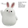 Home Office Decor Vase 3D Printed Rabbit Ornament, White Bunny Flower Holder Hydroponic Plants Container, Animal Shape Desktop Decoration for Matte