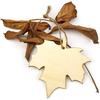 32 Pack Wood Maple Leaf Cutouts Unfinished Wooden Maple Leaf Hanging Ornaments DIY Maple Leaf Craft Gift Tags for Thanksgiving Home Party Decoration