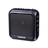 TAKSTAR E270 Wireless Voice Amplifier