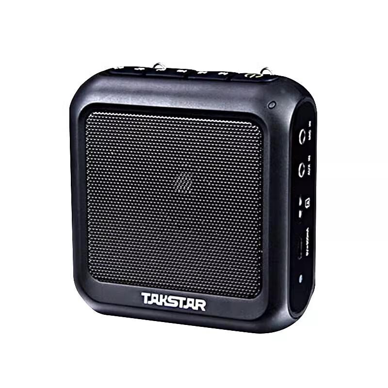 TAKSTAR E270 Wireless Voice Amplifier