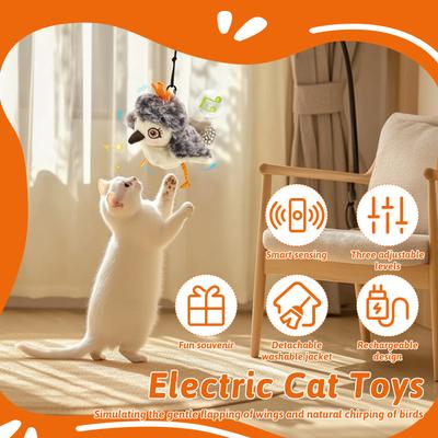 Kočky – Hračky pro kočky