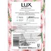Lux Botanický ovocný kyselý bublinkový sprchový gel, Třešňový květ