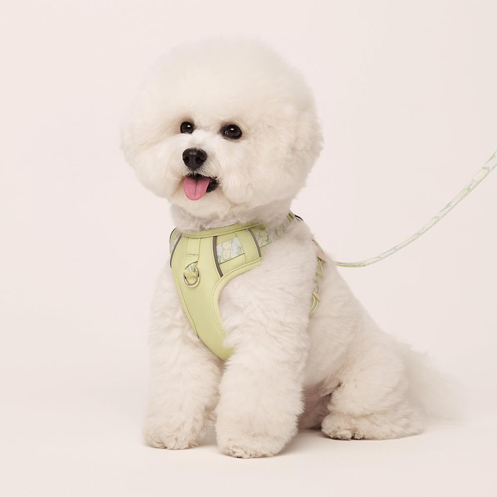 Vest Type Pet Harness Explosion Proof Breathable Harness Dog Gear Dog Vest  Outdoor Activities