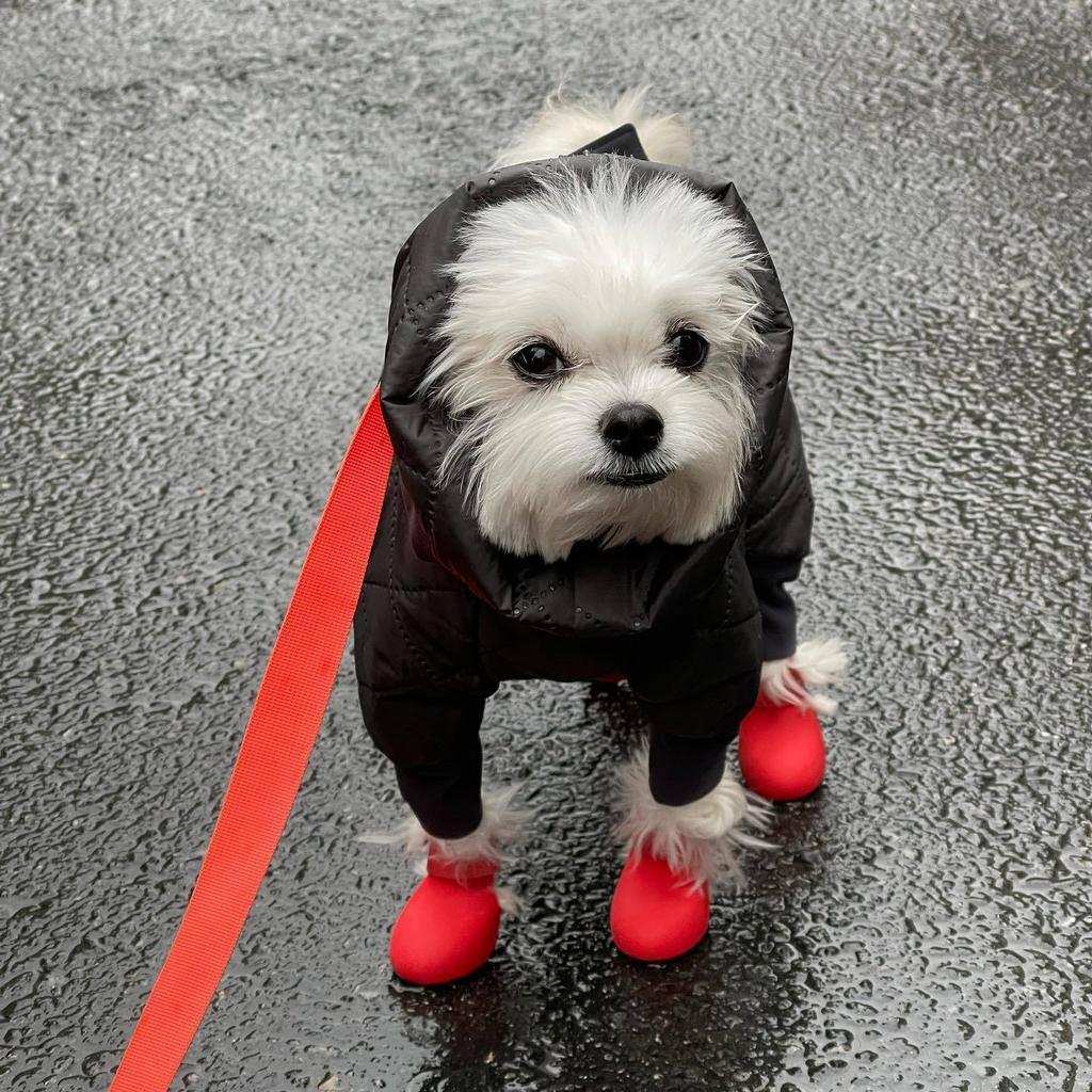 Dog Shoes Rubber Rain Boots Winter Teddy Durable Non-slip Waterproof Cute Pattern Ins Style L
