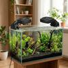 Single Head Aquarium Chiller Fan Adjustable Angle Aquarium External Fan  Fishbowl