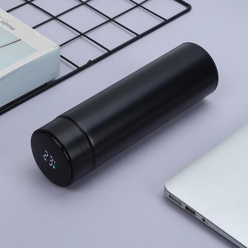 Shangqi Frosted Stainless Steel Insulated Tea Infuser Bottles Set