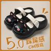 Cute Hole Shoes for Women In Summer 2025 New Home Thick-soled Outdoor Non-slip Beach Sandals