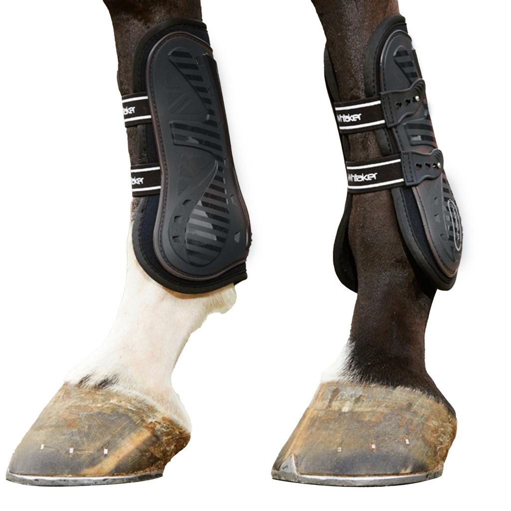 Whitaker Bingley Horse Tendon Boots (Pack of 4)
