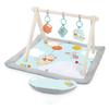 Bright Starts Winnie the Pooh Tummy Time Activity Gym (0 Months) - Baby Gym, Baby Mat, Play Gym, Blue, 13124