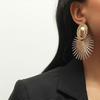 Fashionable and popular jewelry exaggerated earrings fashionable earrings earrings high-end earrings silver