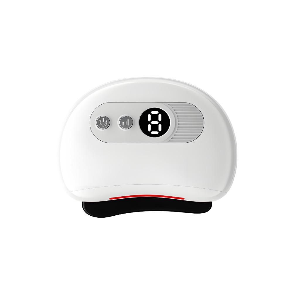 Constant Temperature Electric Scraping Plate Deep Conditioning Face Massager  Professional Use
