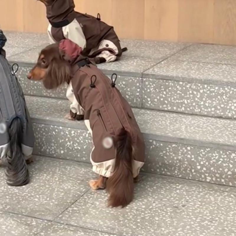 Cold Dachshund Pet Clothes Autumn and Winter Jackets Pussy Bigbear Yorkshire Maltese Corgi Small and Medium