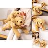 Soft And Cuddly Labrador Dog Plush Toy Realistic Stuffed Animal Pillow For Kids