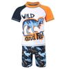 2025 Summer Boys' Teen Swimwear Set: Split Style Swimsuit & Trunks