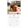 2026 Cute Dog Calendar Funny 12 Month Planner Double-sided Monthly/weekly View Daily Calendar