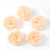 5/10Pcs 7.5cm Silk Peony Artificial Flowers Heads for Home Party Wedding Decor Accessories Garden Crafts Manual Christmas Wreath