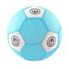 Manchester City FC Crest Mesh Football