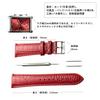 JMW TOKYO Men's Square-Shaped Watch Strap, 22mm Lug Width, Genuine Leather Replacement Strap, Red with Silver Buckle, Includes Tools, Spring Bars,