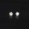Zircon Stud Earrings - Cloud-shaped Rose Heart Earrings for Women. High-end, Versatile Ear Accessories with A Touch of Sophistication and Luxury.