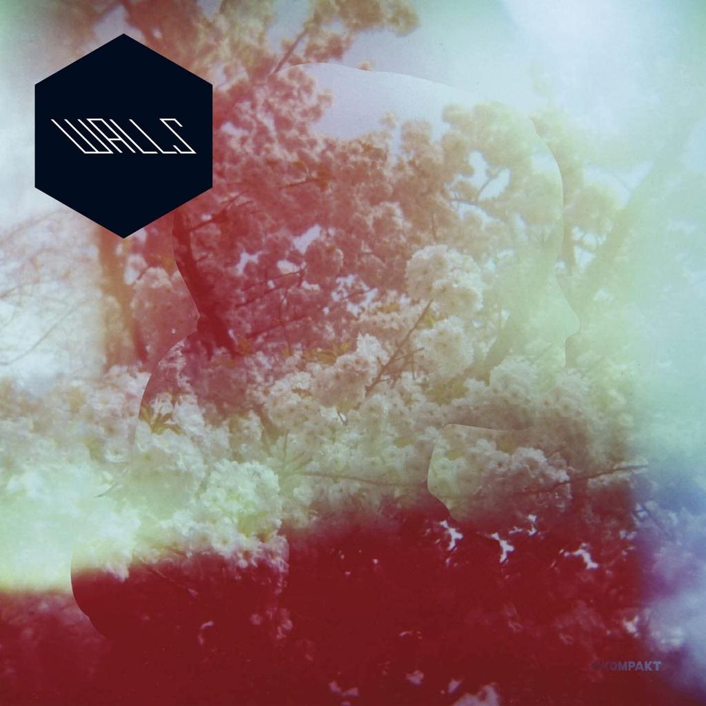 CD WALLS - WALLS  OTLCD1352 Japan ObiMusic Others Used