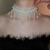 Creative Pearl Lace Choker Zinc Zinc Alloy Mesh Neck Jewelry Neck Pendant Tassel Beads Necklace  Women