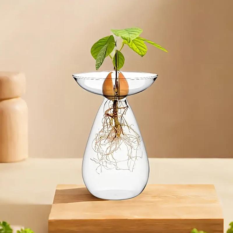 Colorful Transparent Avocado Hydroponic Vase Glass Avocado Seed Starter Vase Plant Seed Growing Kit Gardening Lovers Home Decor