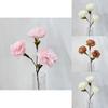 Elegant Artificial Peony And Camellia Silk Flowers For Home Decoration And Photo Shoots