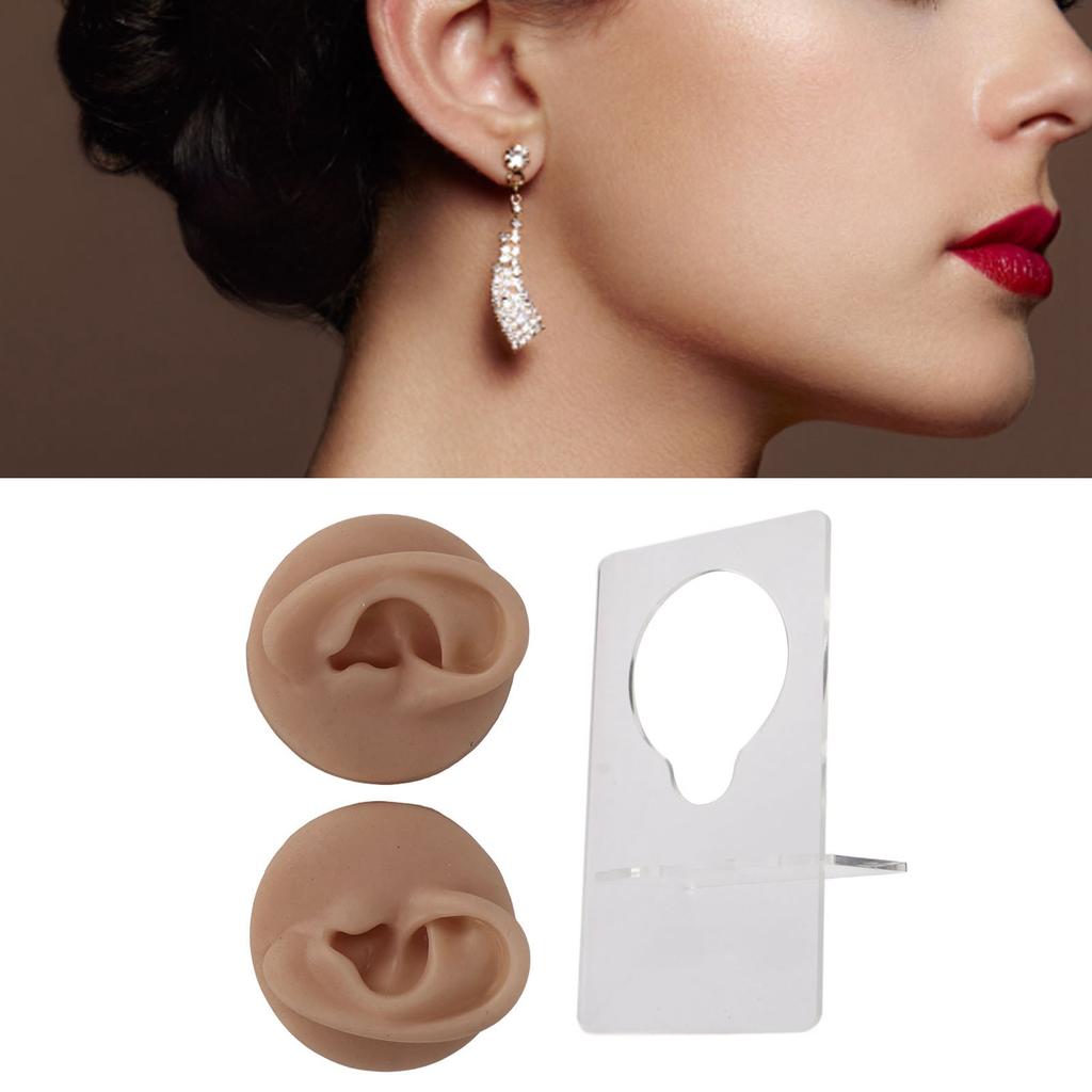 Ear Model Soft Silicone High Simulation Clear Structure Human Ear Model for Piercing Practice