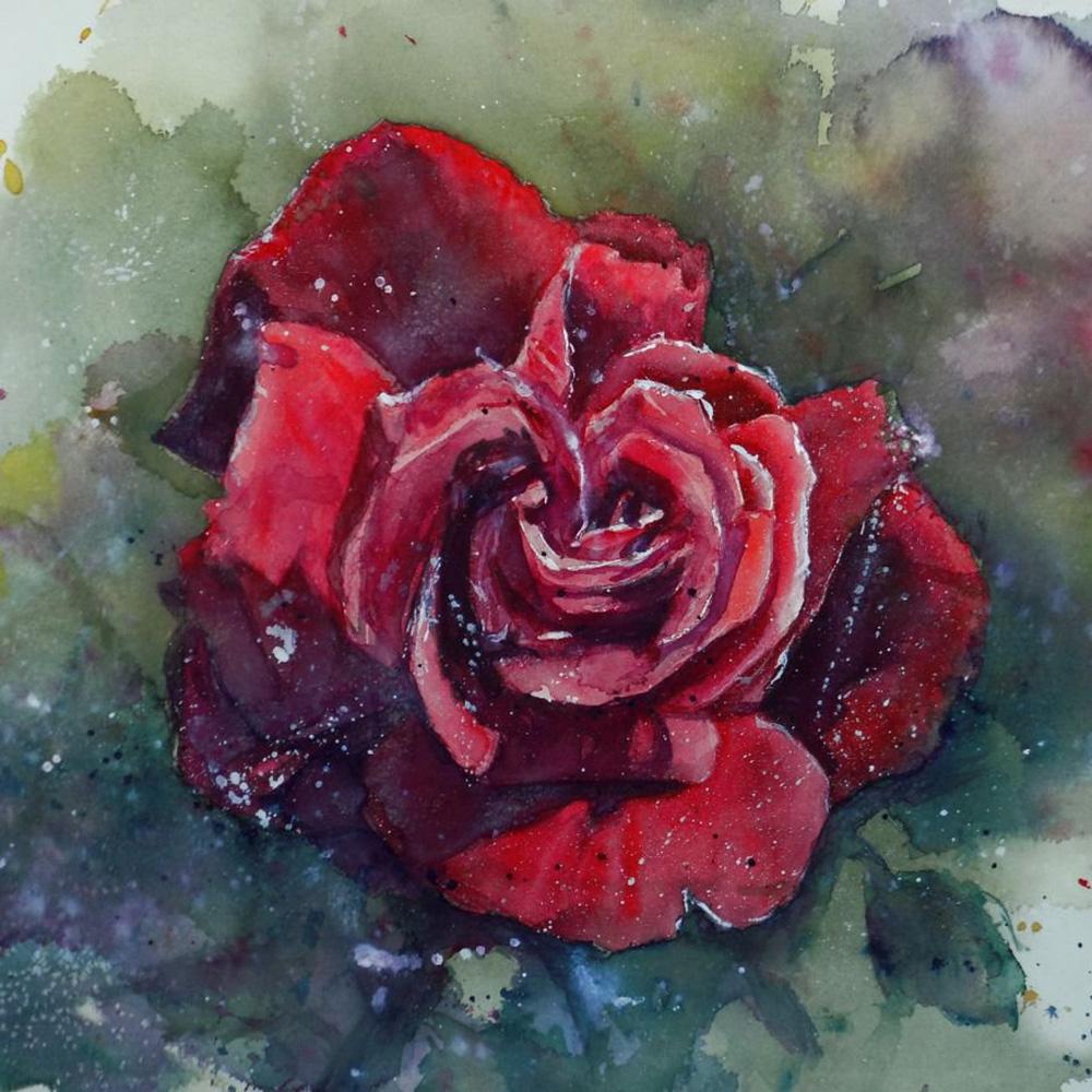 5D DIY Diamond painting Romantic flowers full diamond square/round diamond embroidery cross-stitch set home wall decorative art