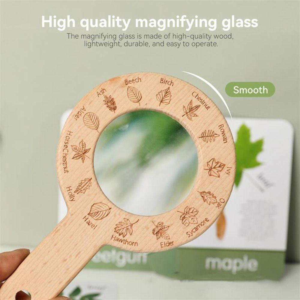Montessori Magnifying Glass Toys Wooden Plant Cognition Cards  Kindergarten Kids