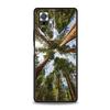 Eautiful Nature Forest Tree Phone Case For Xiaomi Redmi Note 15 14 13 12 5G 11 10 Pro Plus 4G 9S 14C 13C 12C 10C Soft TPU Cover