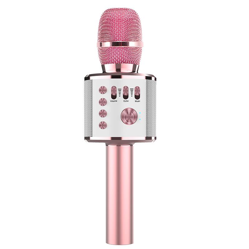 Wireless Home Karaoke Microphone for Kids with Built-in Speaker