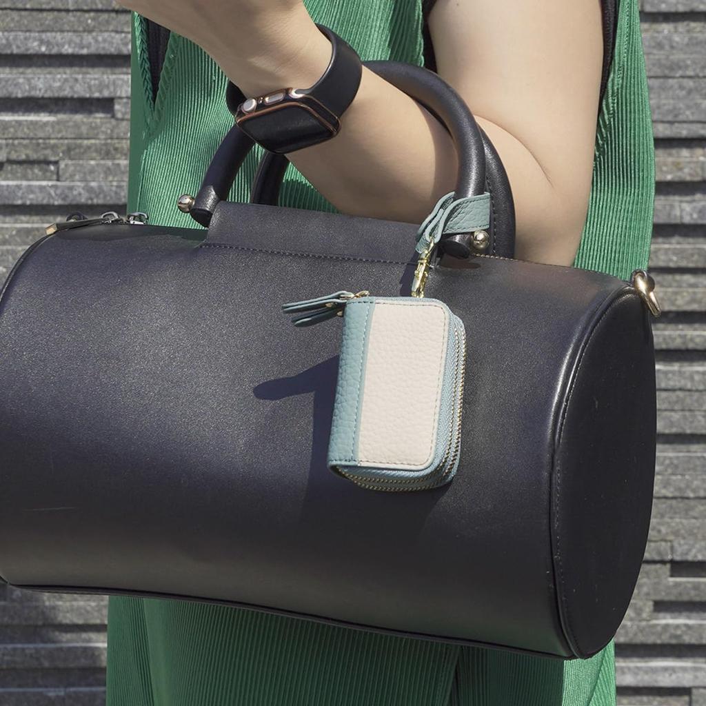 [Branpom] Bicolor W Zip Key Case Key Stylish Compact bp-2021