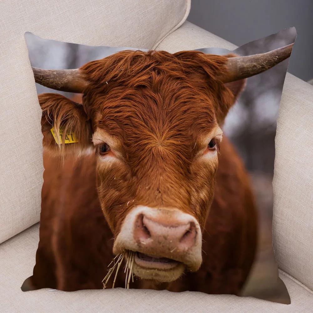 Scotland Kyloe Pillow Case Decor Wild Cow Colorful Animal Print Pillowcase Soft Short Plush Cushion Cover for Home Sofa 45x45cm