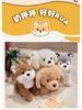 Cute Plush Dog Toy: Husky, Golden Retriever, Labrador, Shepherd for Kids' Comfort