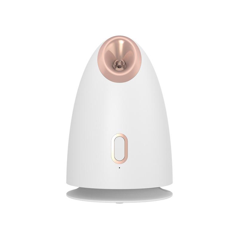 Cold and Hot Double Spray Face Vaporizer Nano Water Refill Sprayer Face Household Steam Engine Beauty Salons Special Face Vaporizer Beauty Equipment