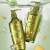 Schwarzkopf Ginger Essence Oil Control Shampoo