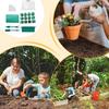 Plant Starter Trays Seedling Kits 12-Cell Trays With Dome And Base For Balcony Window Sill Classroom Small Space Gardening