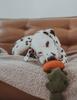 Carrot Sniffing/Activation Toy For Dogs