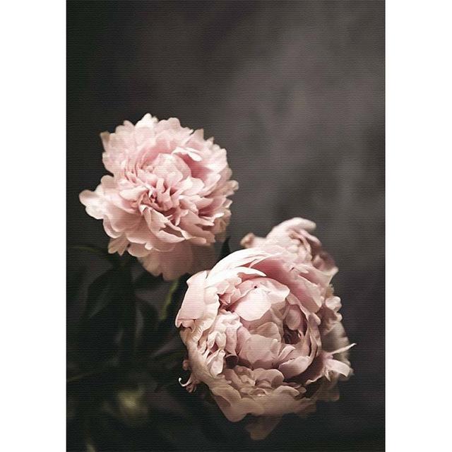 Flower Canvas Picture Wall Decoration Nordic Floral Prints Pink Rose Paintings for Home Design Modern Decoration for Home No Frame