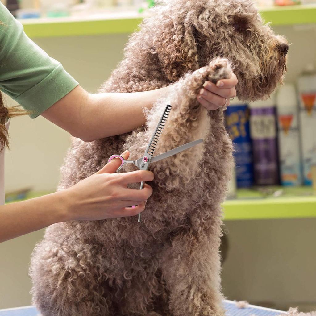 Sangelar 7 palců 8 palců Špičkové JP440C Prostřihávací nůžky pro úpravu domácích mazlíčků Rybí kost Zuby Nůžky pro domácí mazlíčky
