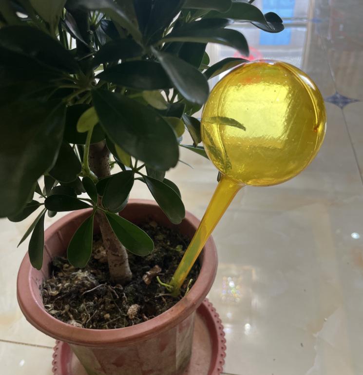 Automatyczna kula do podlewania roślin ogrodowych