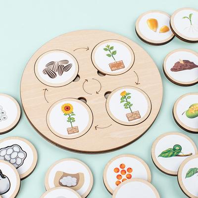 Lebenszyklus-Brett Montessori-Set Biologie Naturwissenschaftliche Bildungsspielzeuge für Kinder Sensorisches Tablett Tierfigur Lebenszyklus Sortieren Holzspielzeug